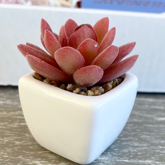 Daily Positivity and Love Affirmation cards and more- Self Care Gift Box - Picture 5 of 7